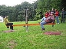IMG_3750 (Custom).jpg