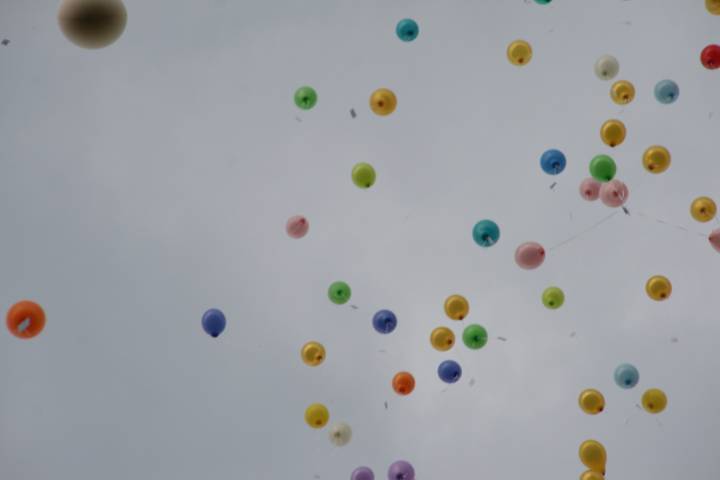20100626_154503.JPG