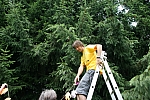 20100626_122827.JPG