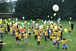 20100626_154101.JPG