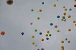 20100626_154503.JPG