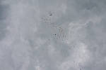 20100626_154507.JPG