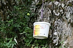 20100723_113848.JPG