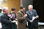 20100725_110917.JPG