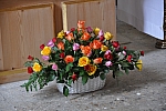 20100813_120019.JPG