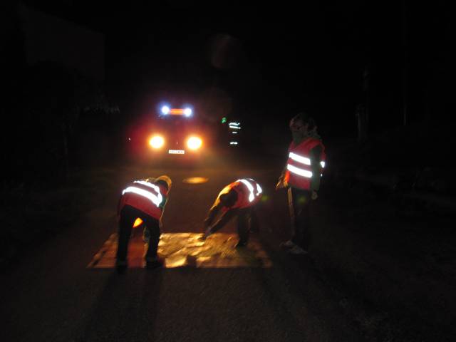 20101008_202430.JPG