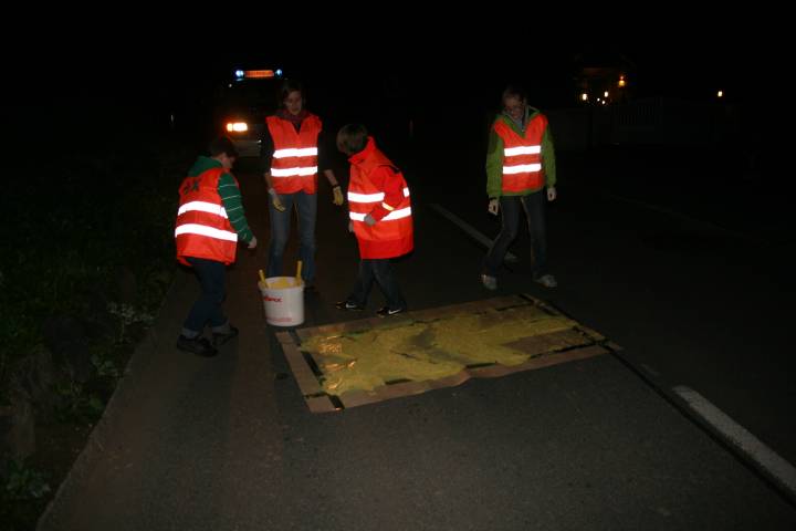20101008_205739.JPG
