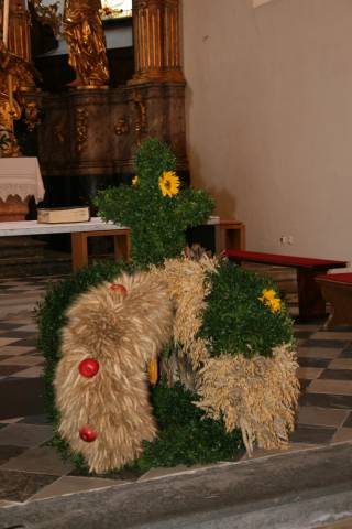 20101010_102853.JPG