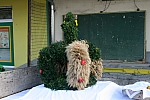 20101010_085800.JPG