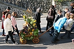 20101010_090728.JPG
