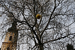 20101023_142343.JPG