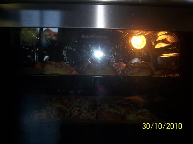 20101030_155954_24.JPG