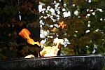 20101031_114905.JPG