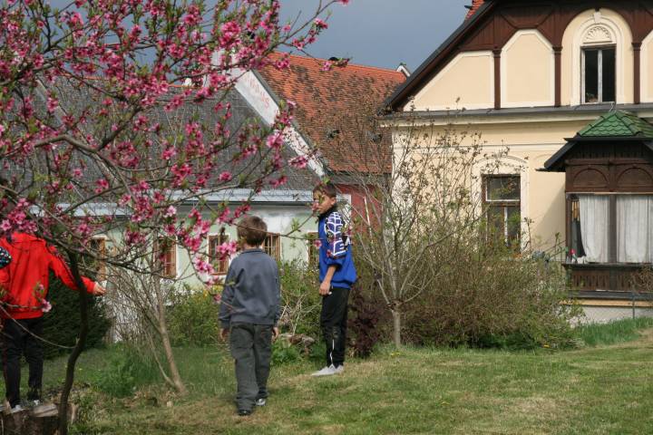 20110416_153624.JPG