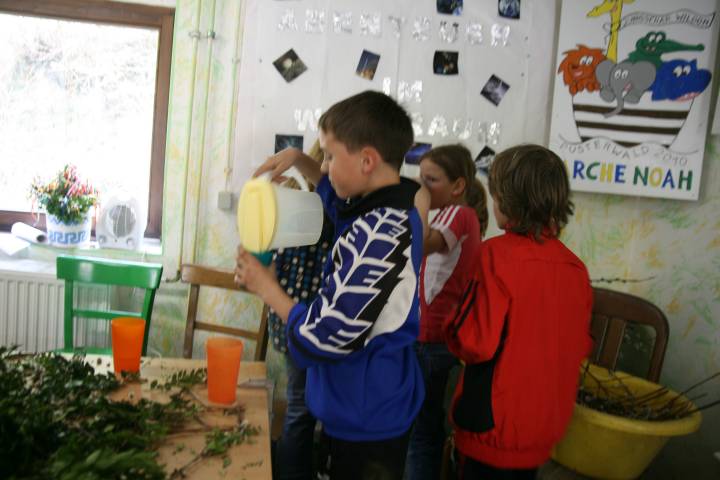 20110416_153752.JPG