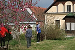 20110416_153624.JPG