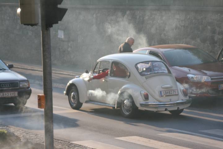 20110423_071037.JPG