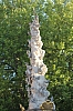 20110805_190124.JPG