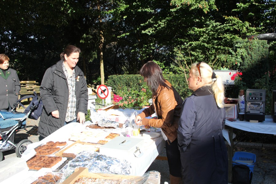 20111009_100433.jpg