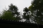 20120420_182738.jpg