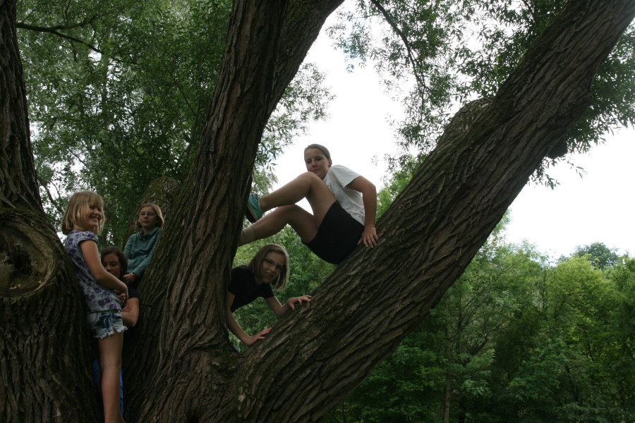 20120526_141748.jpg