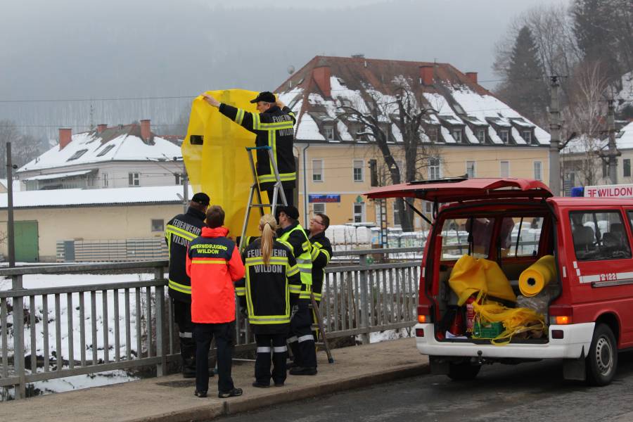 20130216_145247 (2).JPG