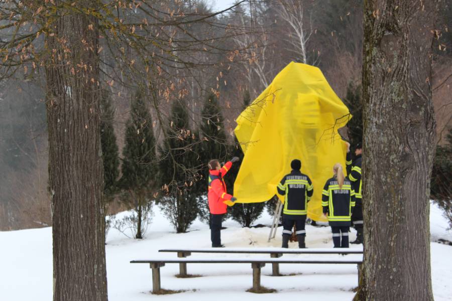 20130216_154219 (2).JPG