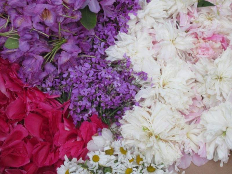 30052013 596 (2).jpg