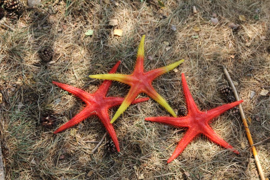 20130806_104848.JPG