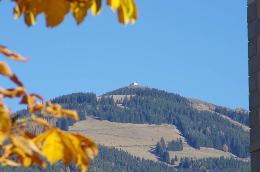 20131026_104908.JPG