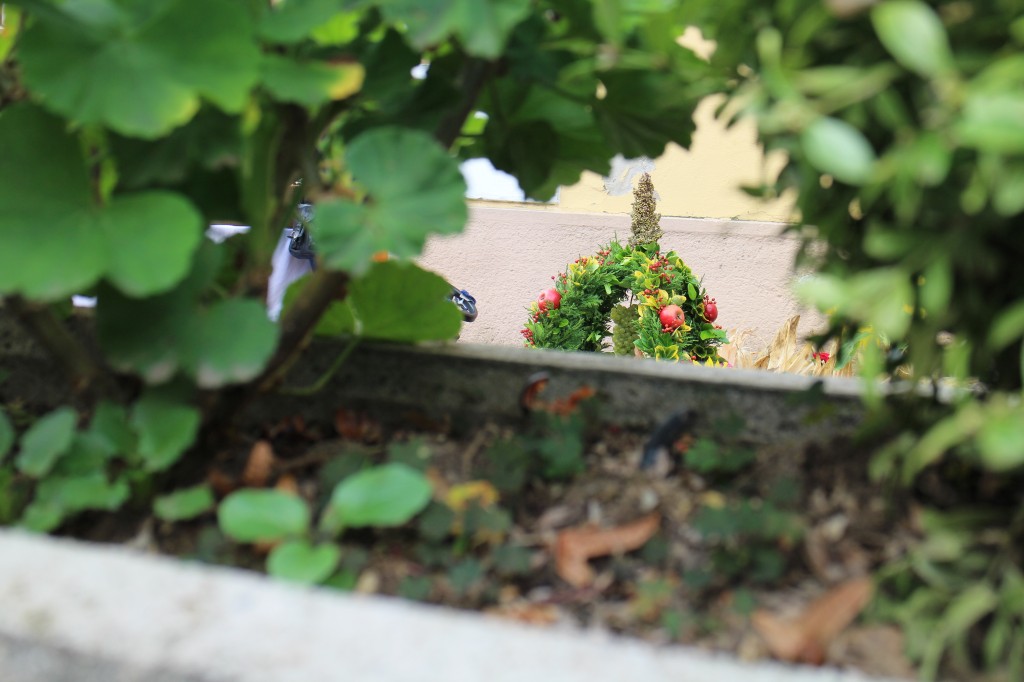 20141005_105918.jpg