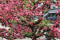 20150510_103112_02.jpg