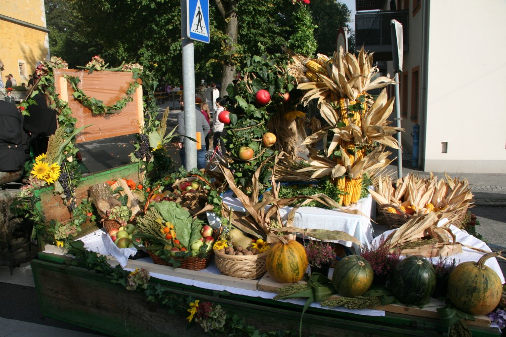 20151004_091858.jpg