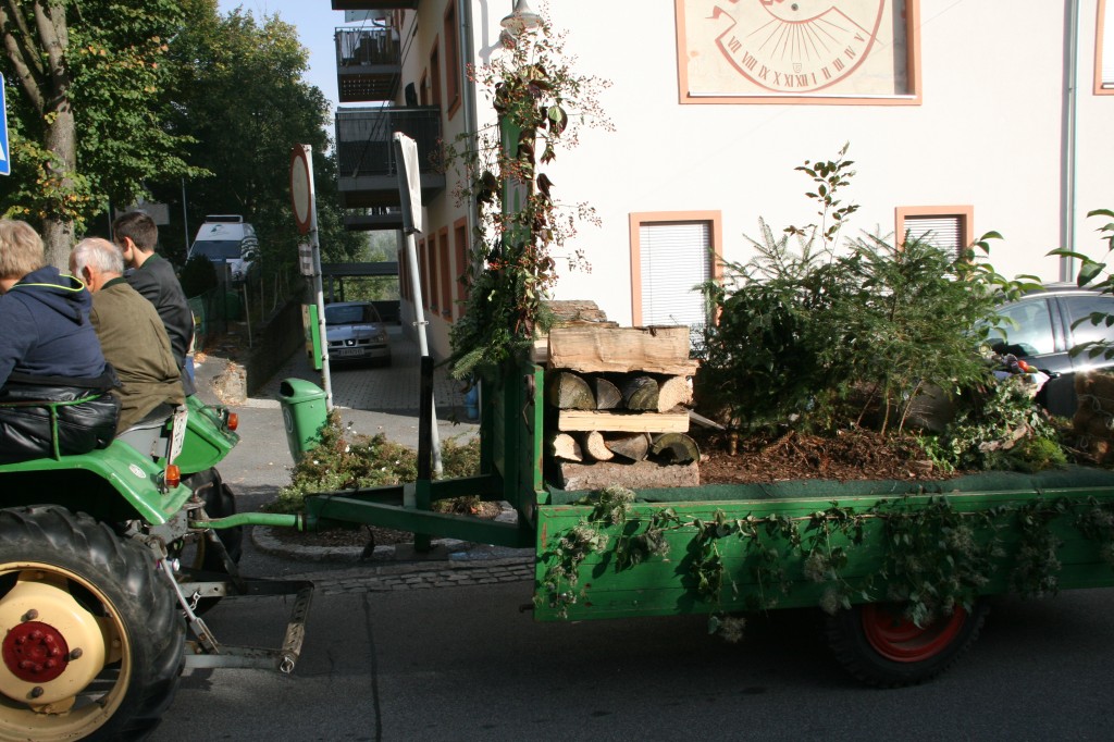 20151004_091914.jpg