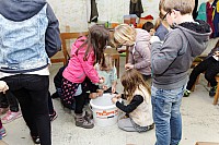 20151107_155542.jpg