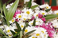 20151115_093135.jpg