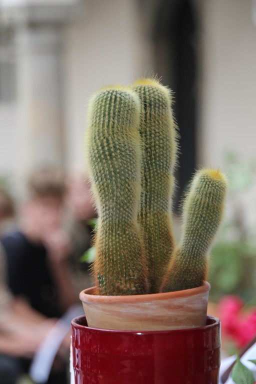 20160518_191405.jpg