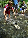 20160803_103320.JPG