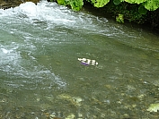 20160803_103643.JPG