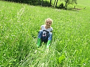 20160803_103854.JPG