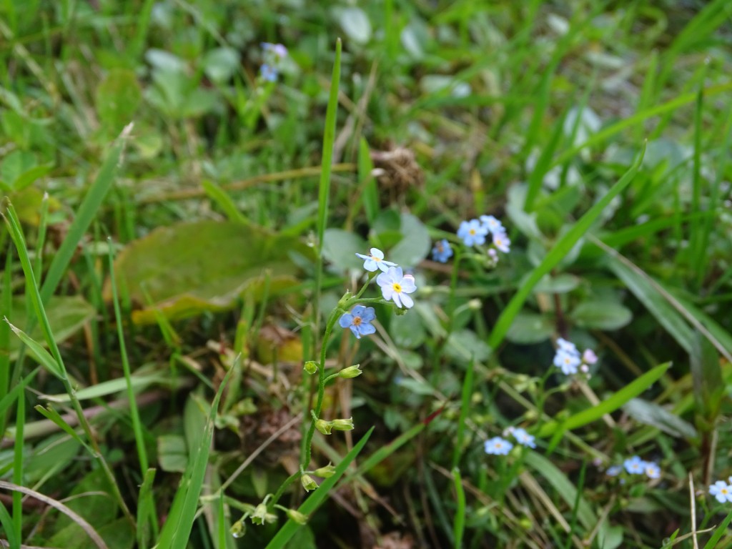 20160805_111600.jpg
