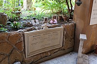 20160822_105229.jpg