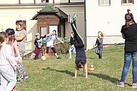 20170325_151843.jpg 20170325_151843.jpg