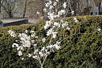 20170325_153911.jpg 20170325_153911.jpg