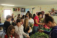 20170408_150326.jpg 20170408_150326.jpg