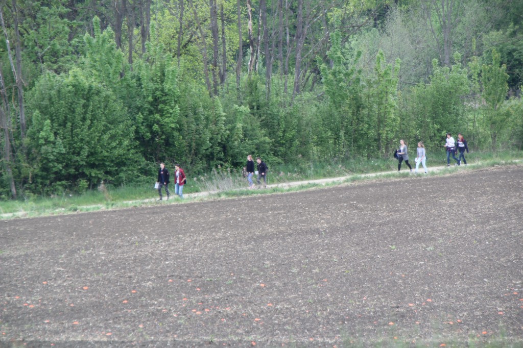 20170429_164315.jpg