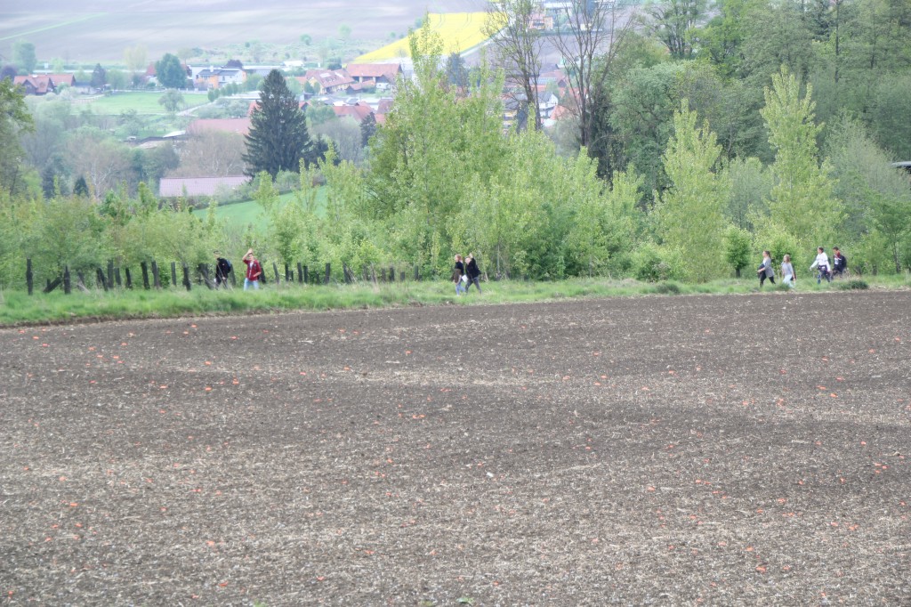20170429_164352.jpg