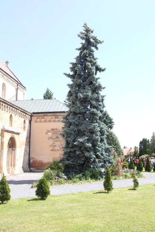 20170527_110118.jpg