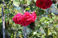 20170527_110201.jpg