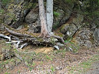 20170605_090000.jpg